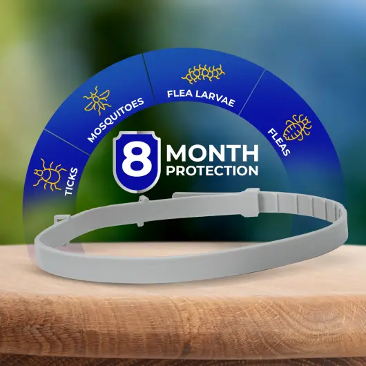 Barxbuddy BiteShield Collar Features