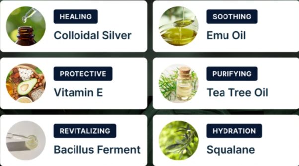 Dermafix Nail Fungus Treatment Gel Ingredients