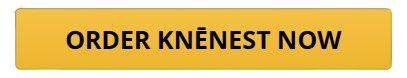 KneNest Knee Pillow Order Button